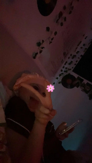 A50f453f45b6d45a0bbfd2dae60d5e334a.jpg